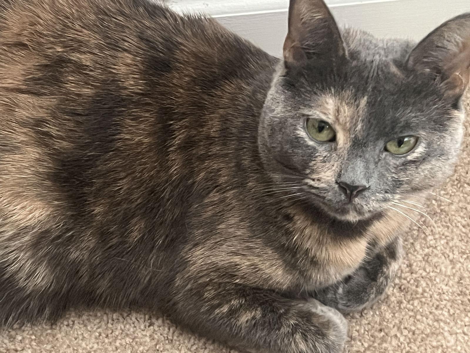 Butternut And Squash