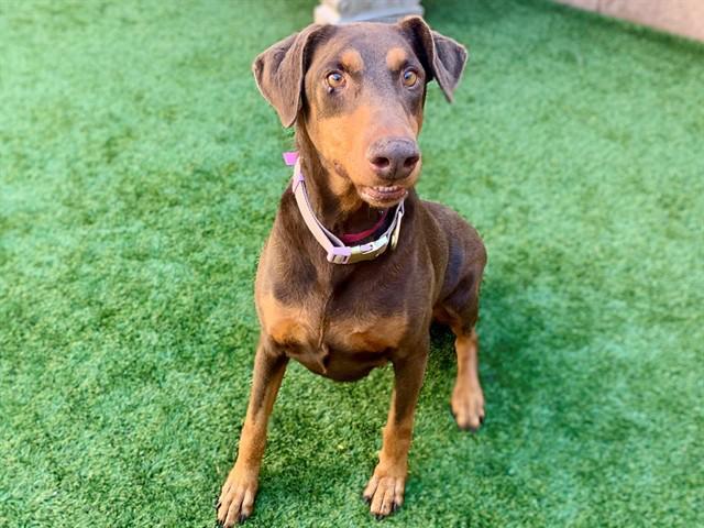 Urgent! Save Me Please!