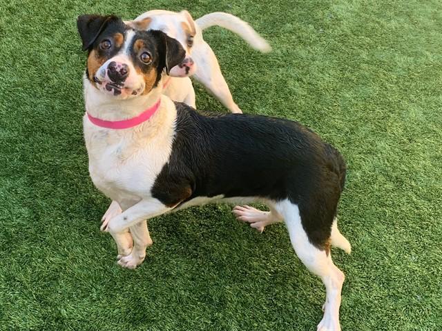 Urgent! Save Me Please!