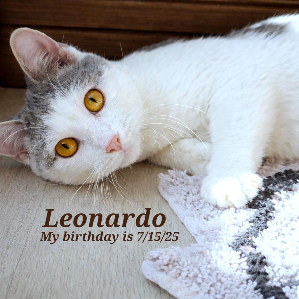Leonardo