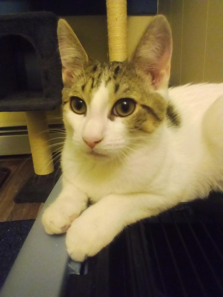 Pandora’s Box: Elpis