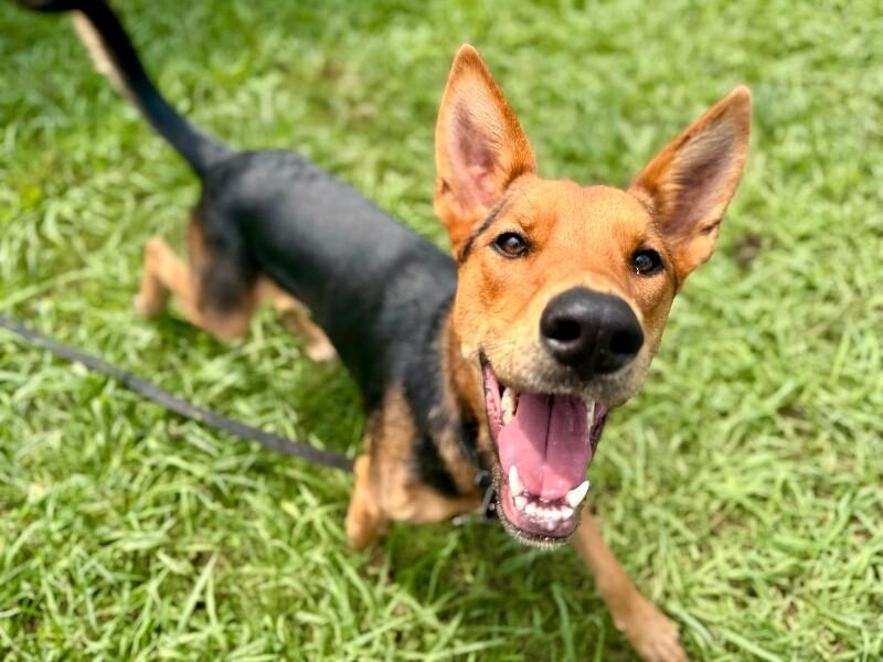 Becca Boo Loves Bigger