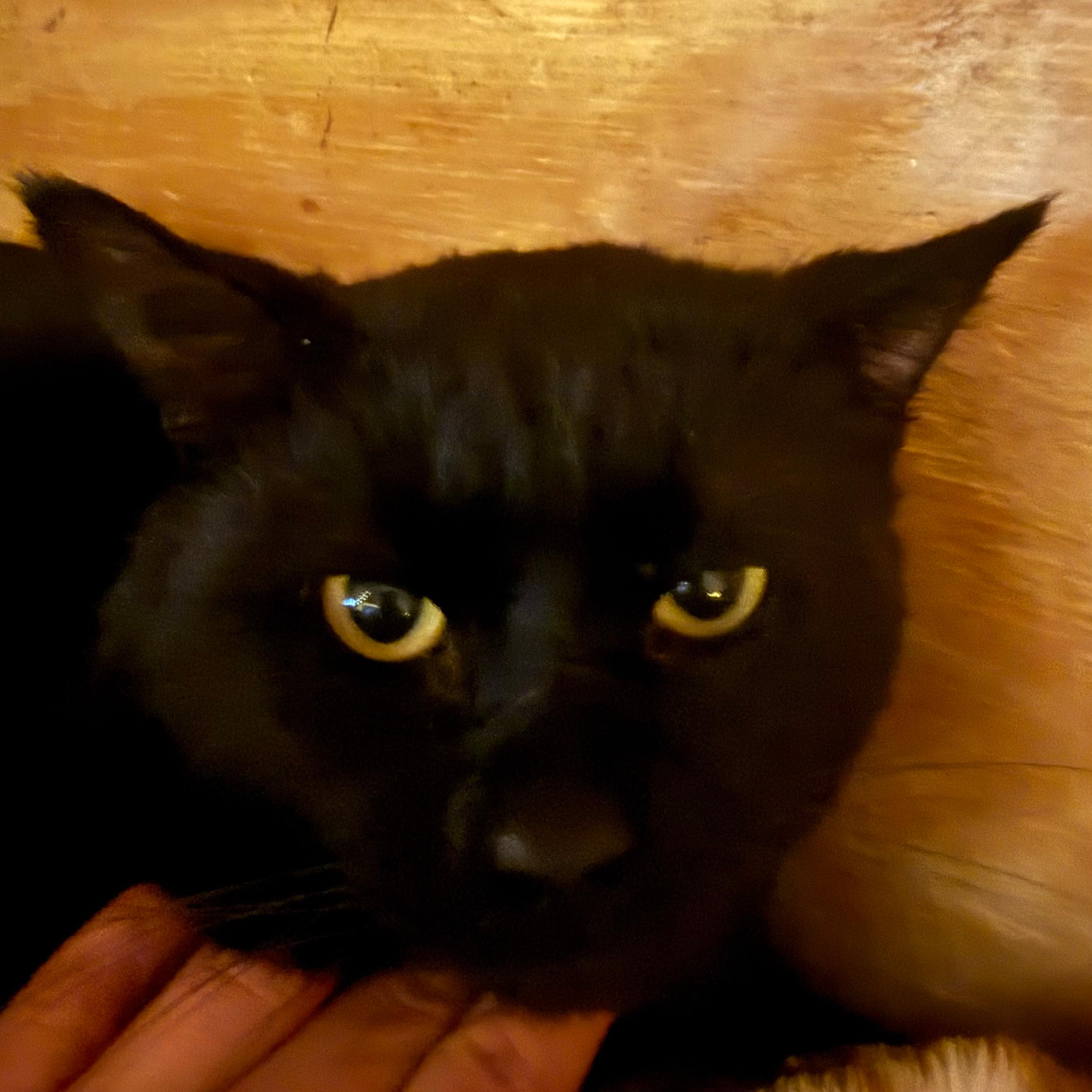 Jordan (copy) (copy)