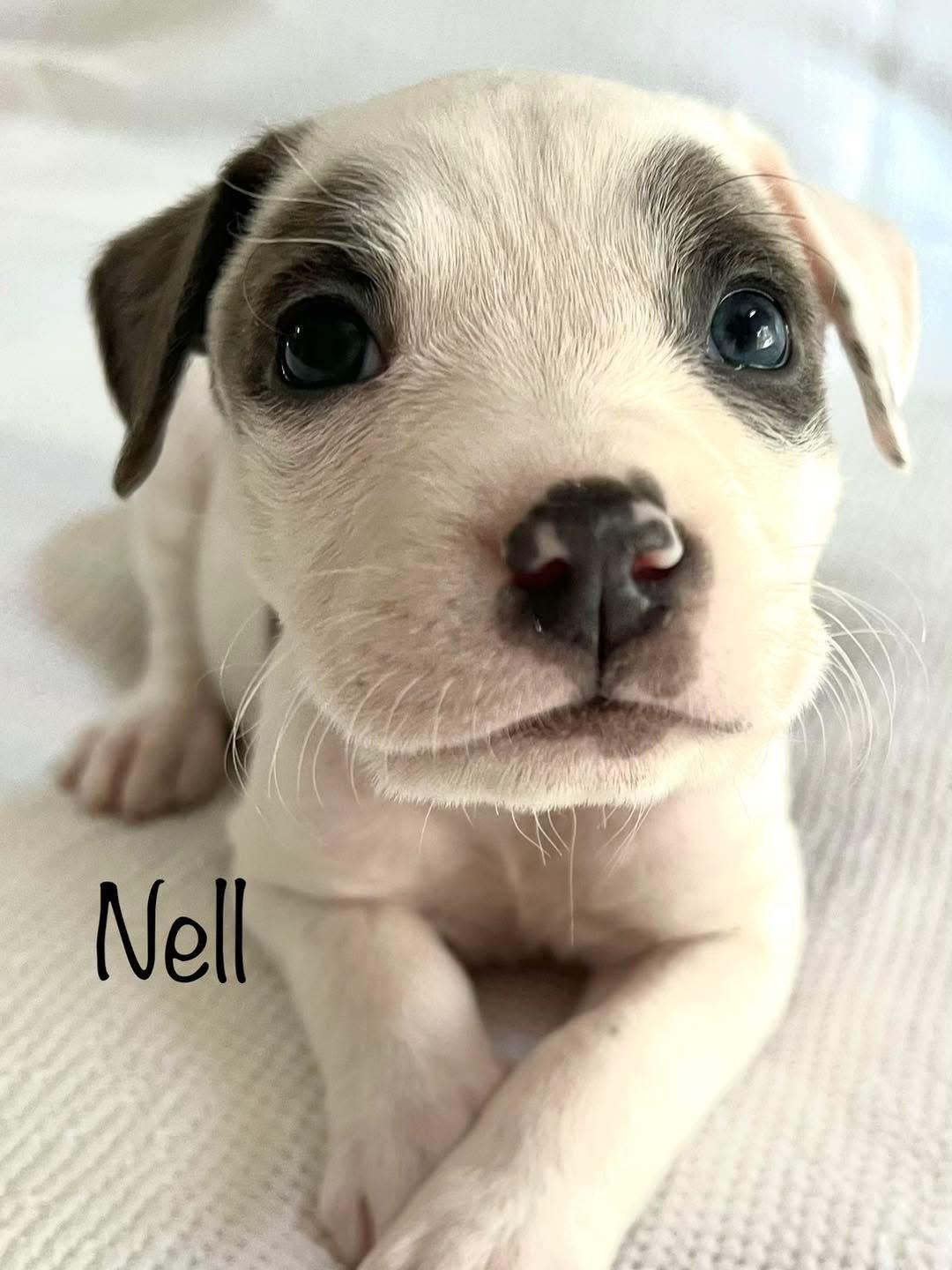 Nell
