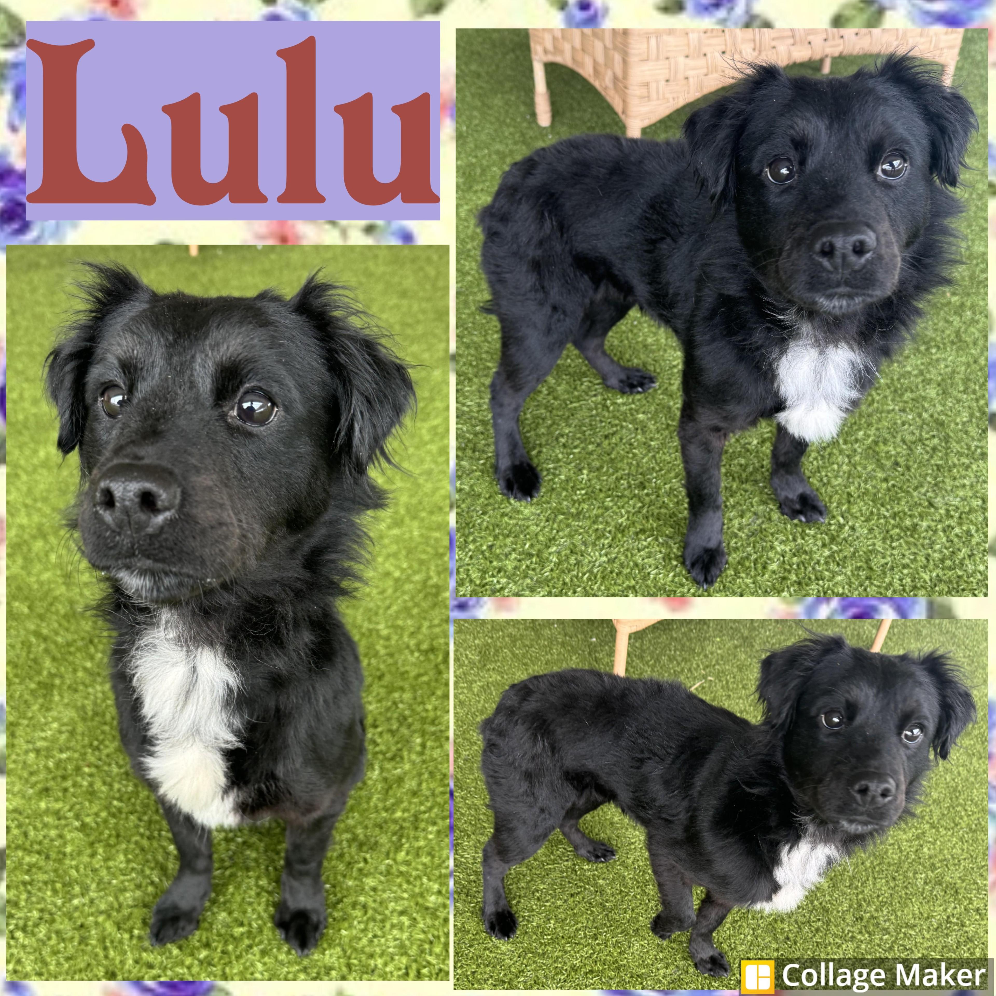 Lulu
