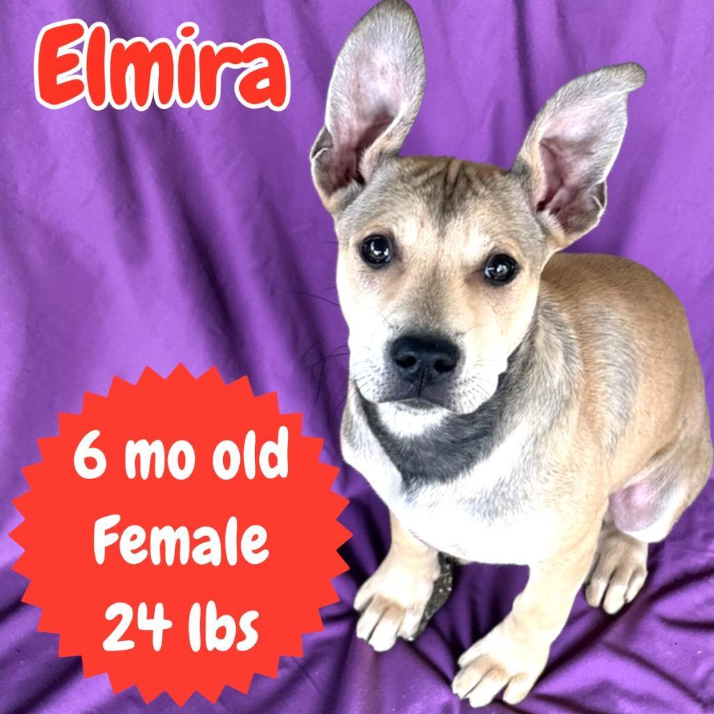 Elmira
