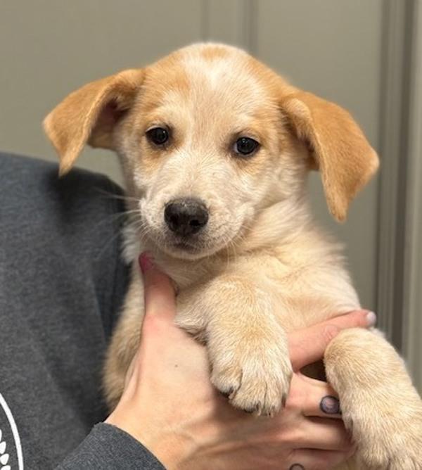 Christopher From Customer Service