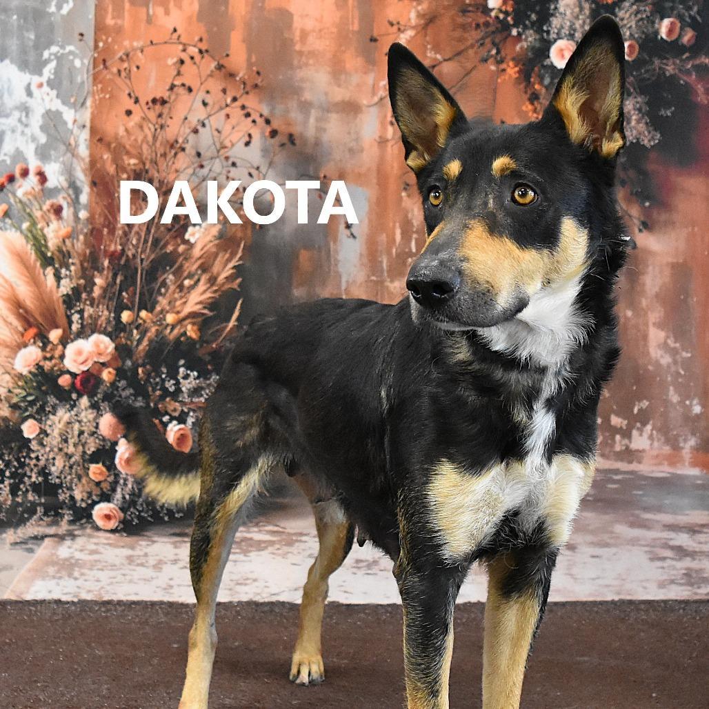 Dakota