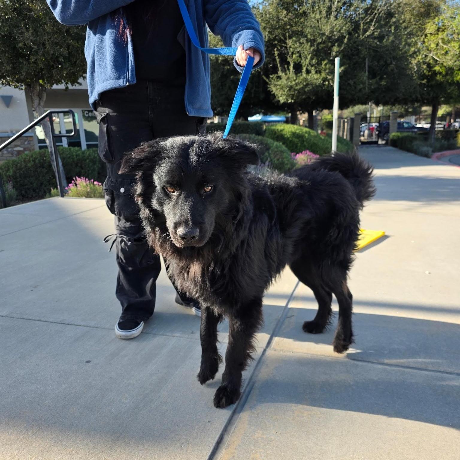 Harlon~ Everyone’s Bestie