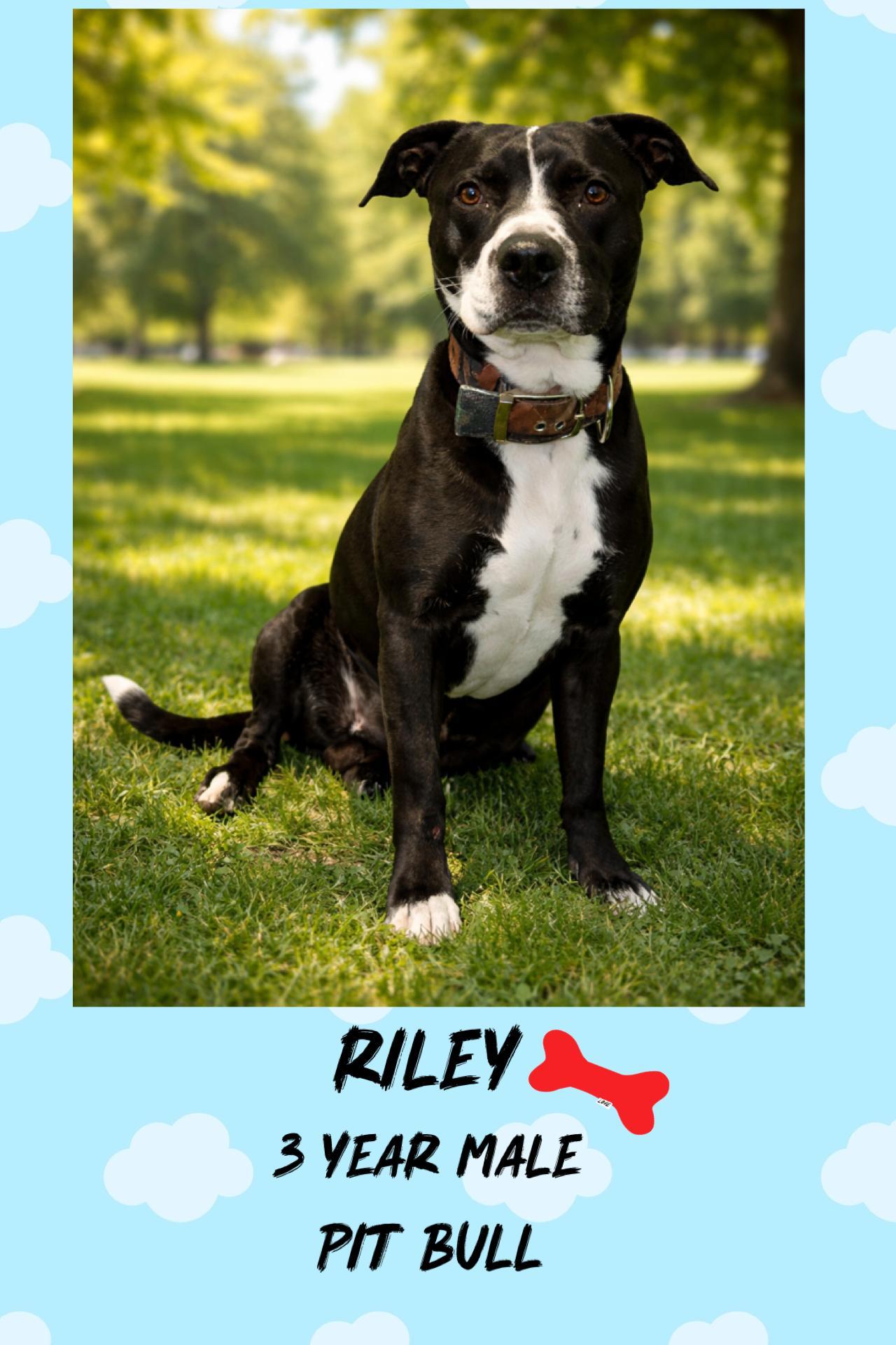 Riley ā