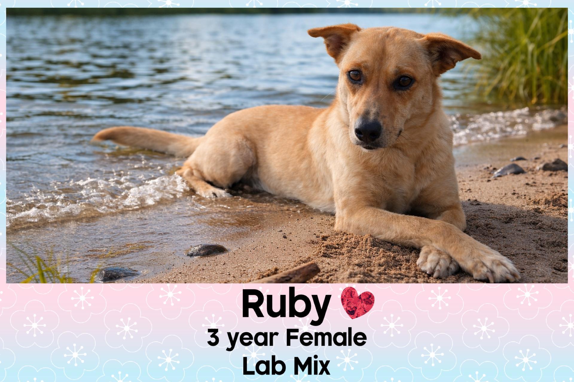 Ruby –