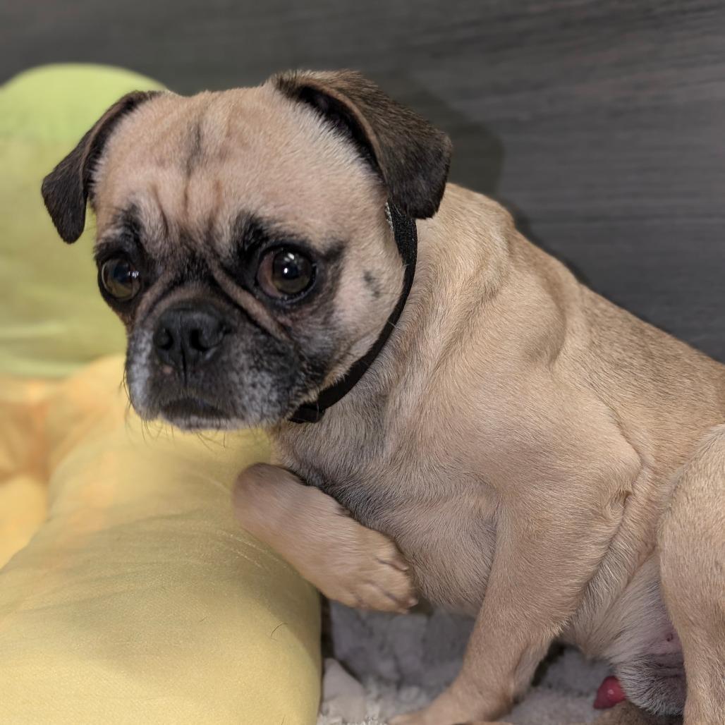 Phillip City Of Industry