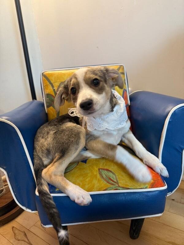 Gizma Lots Of Kisses