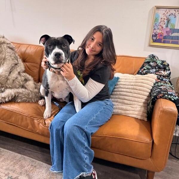 Harlen Franny Bestfriend Energy