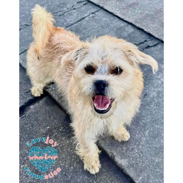 Mud Pie Littermud Pie