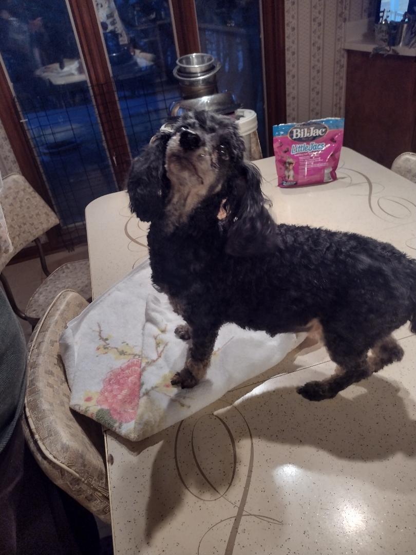 Emmie Lou & Chilibonded