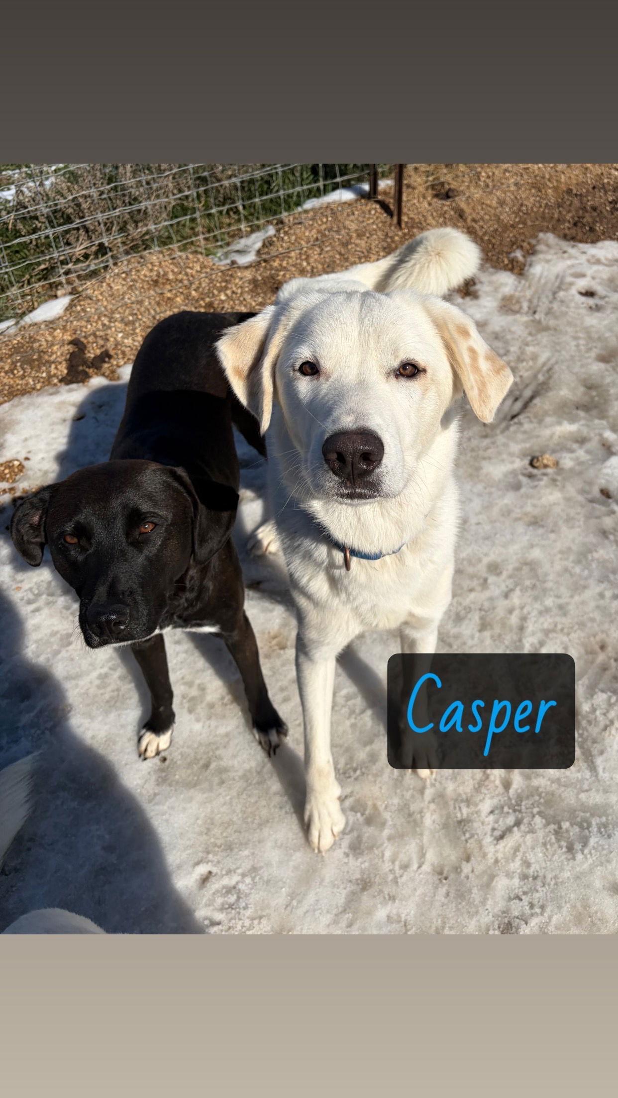 Casper