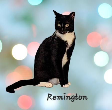 Remington Mysteryman