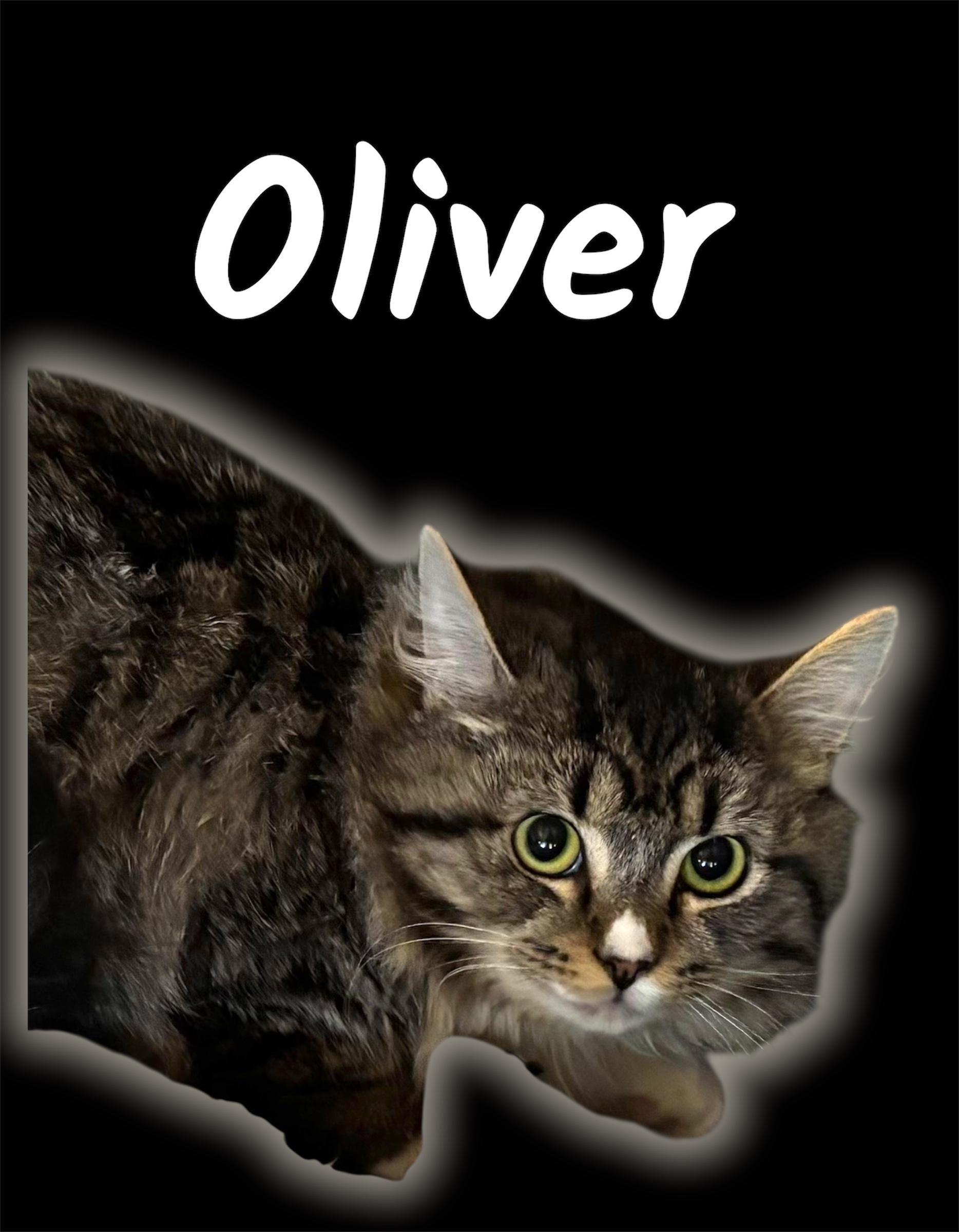Oliver