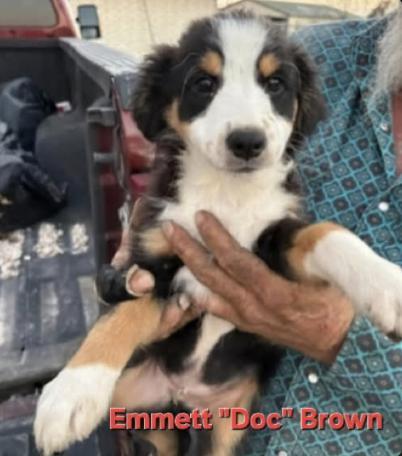 Emmett "doc" Brown photo 1