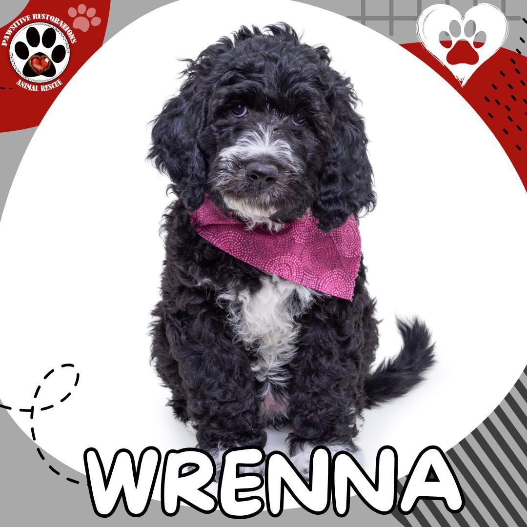 Wrenna