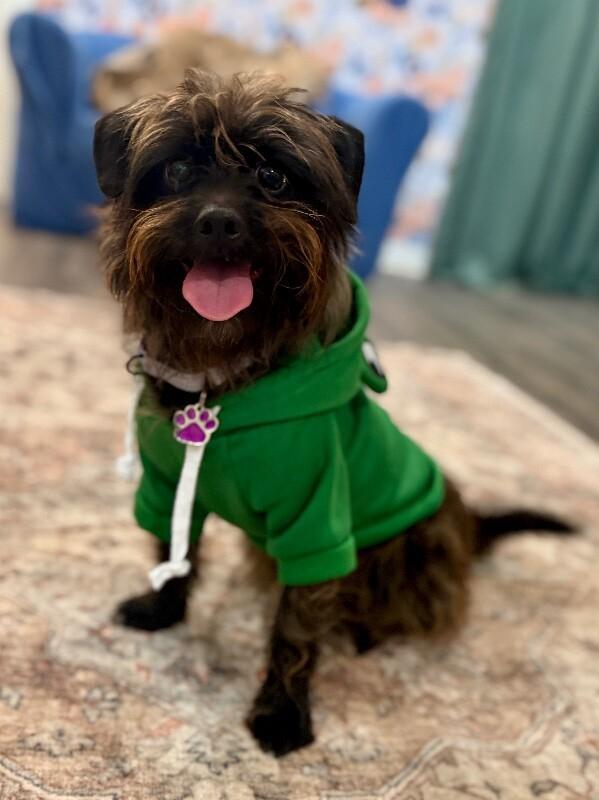 Gwendolyn Twinkle Toes