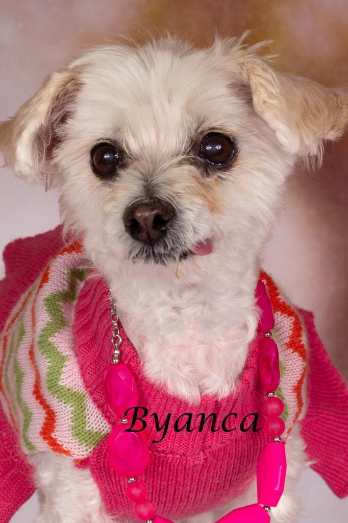 Byanca