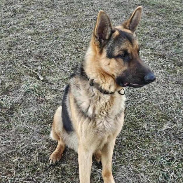 Dean Courtesy Listing