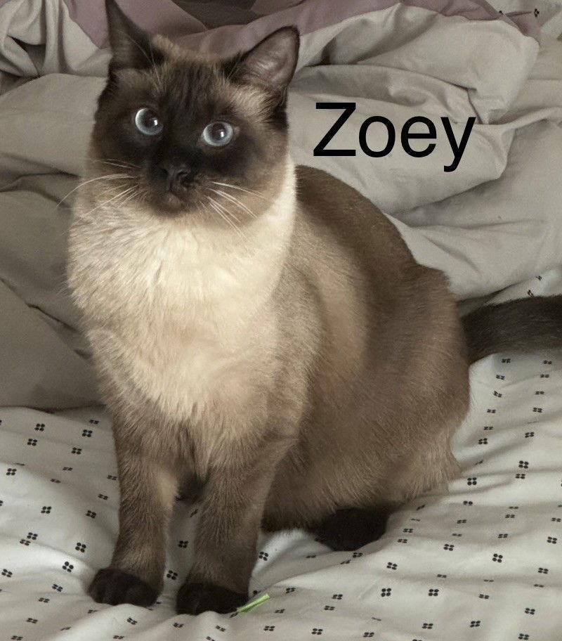 Zoey