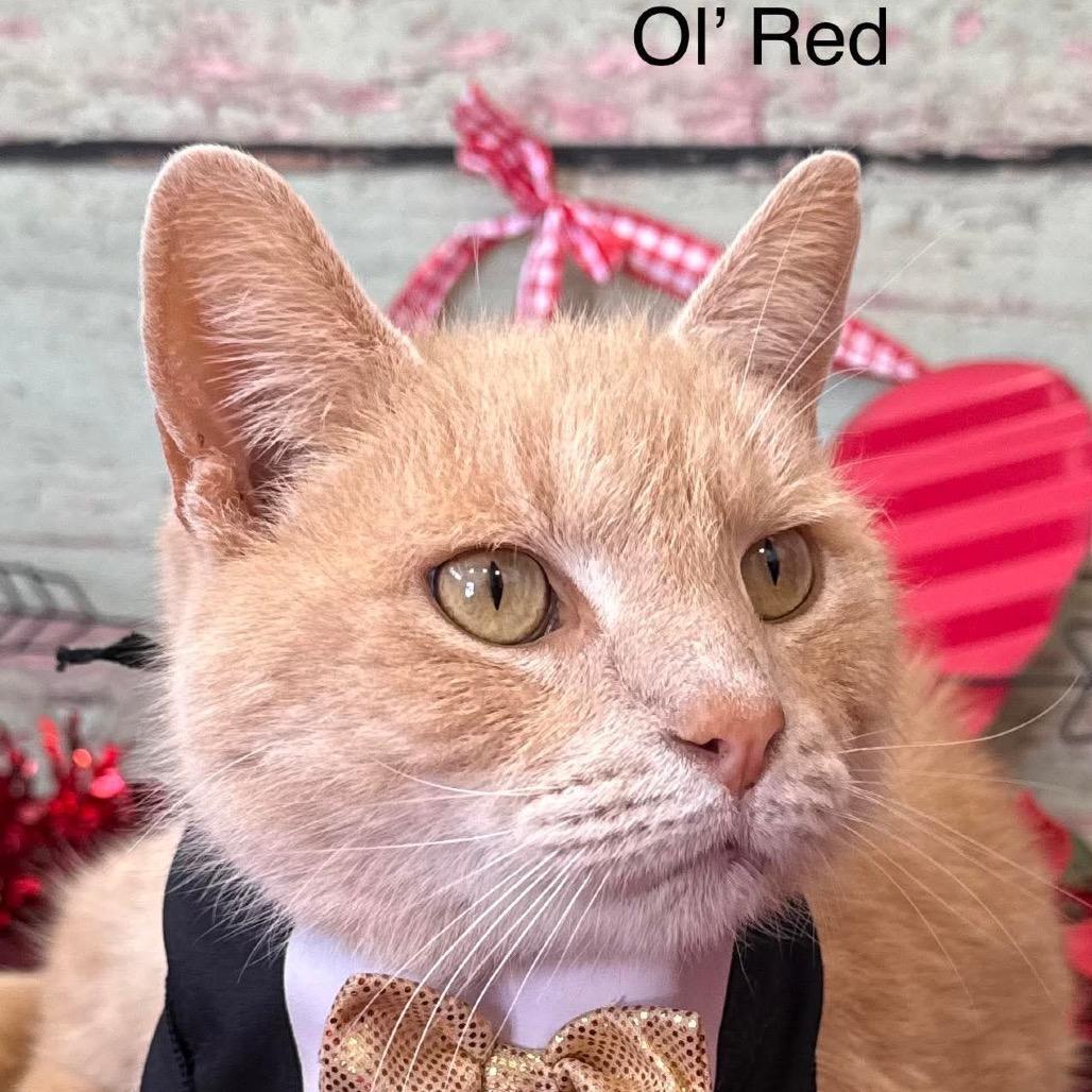 Ol' Red