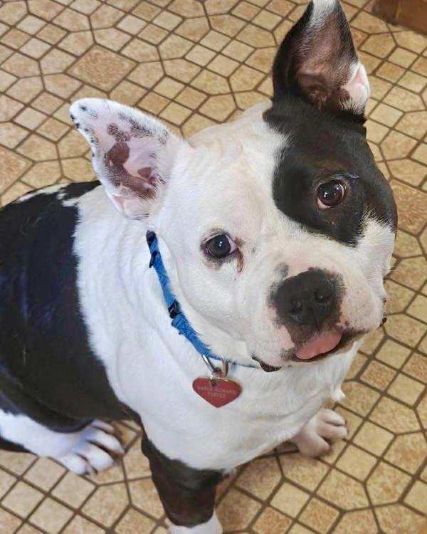 Sir Theodore James Lll