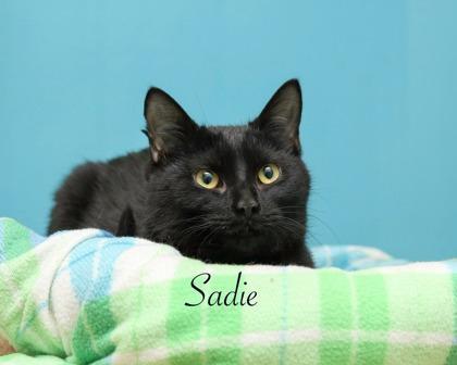 Sadie