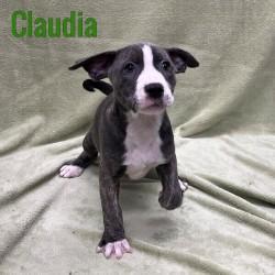 Claudia