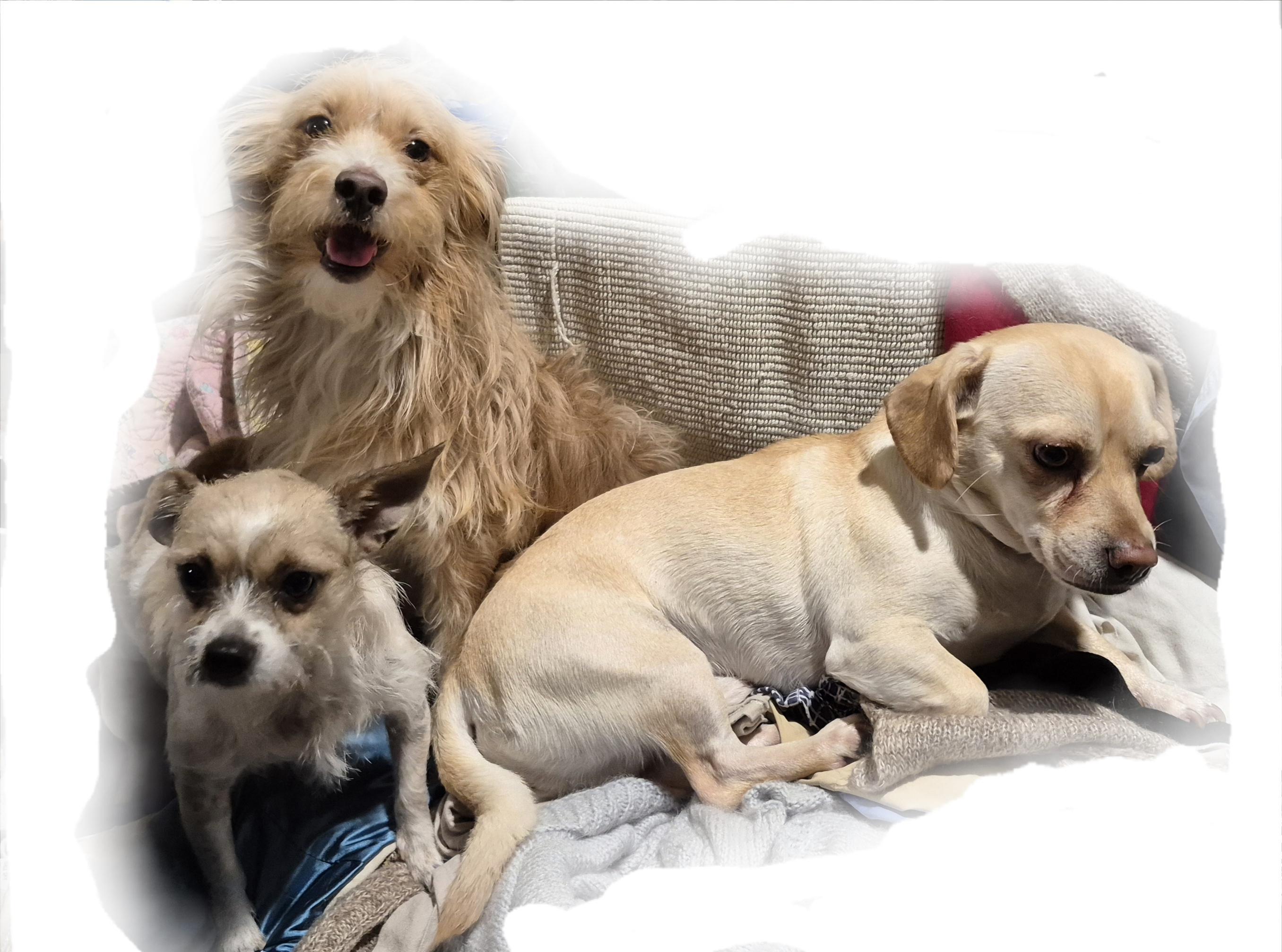 Frankie Valentino And Friends