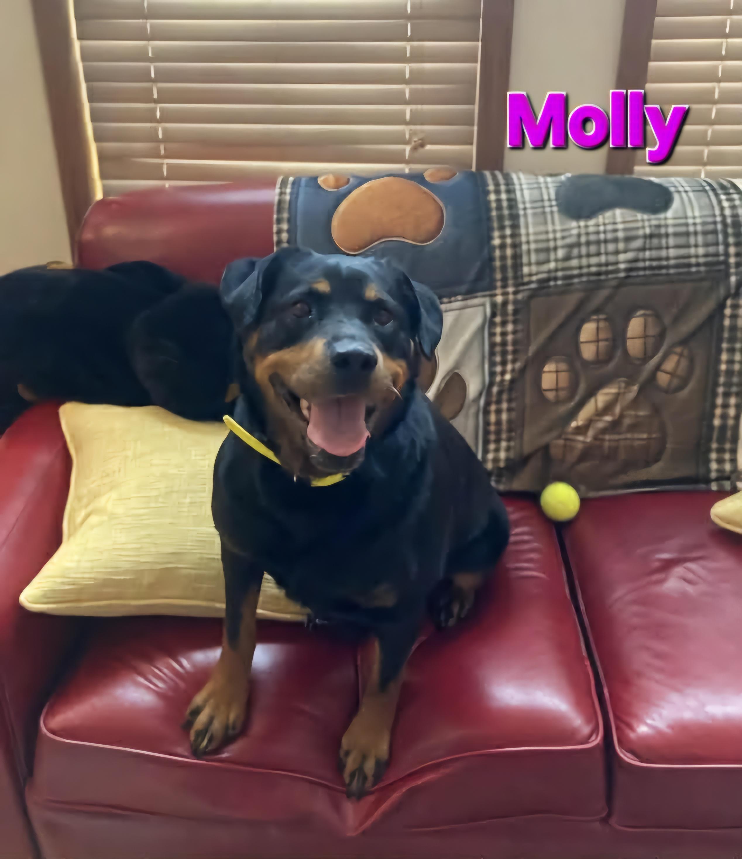 Molly Bonded To