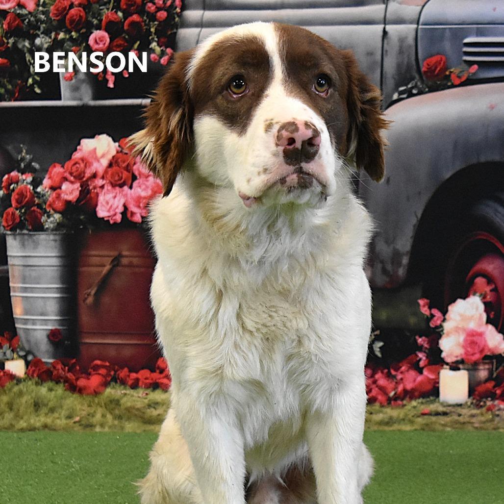 Benson