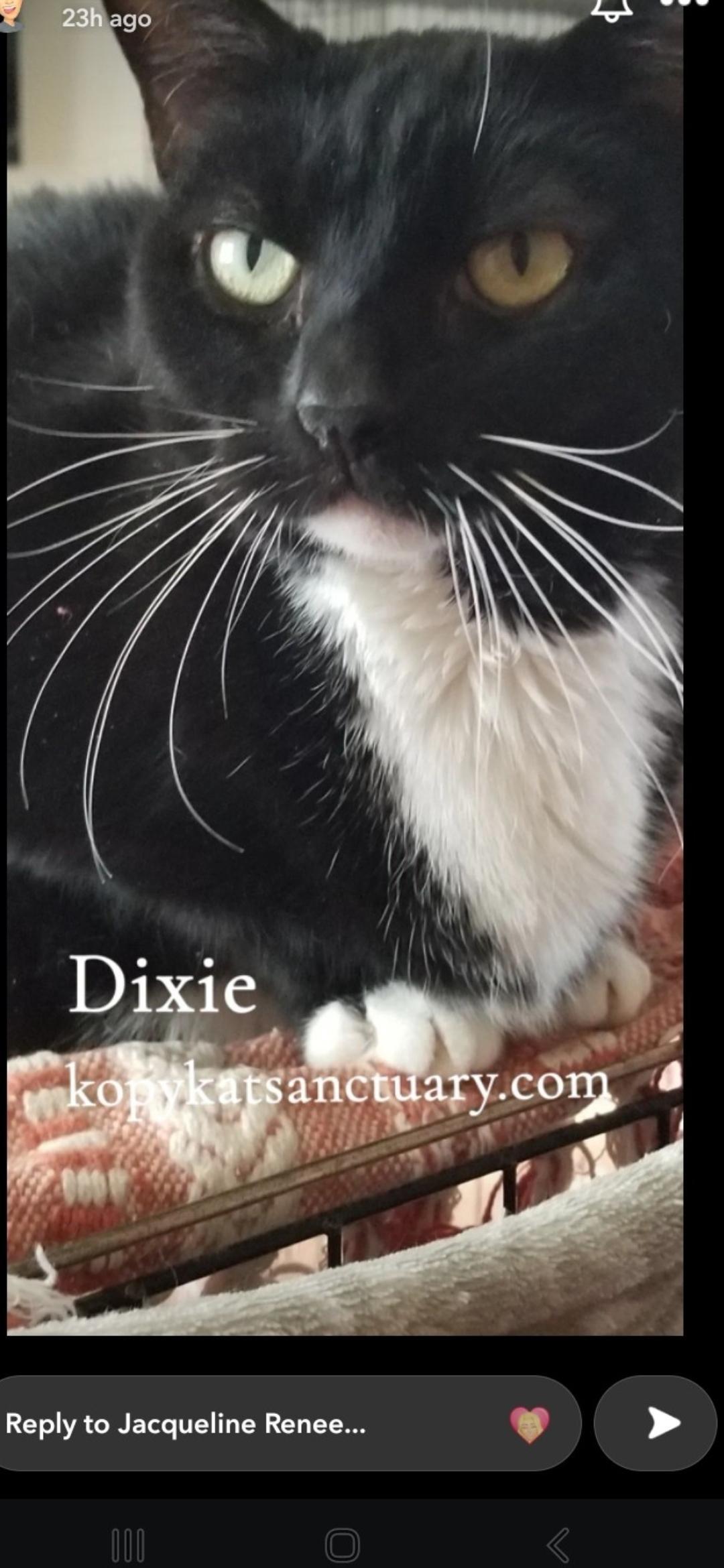 Dixie Chick