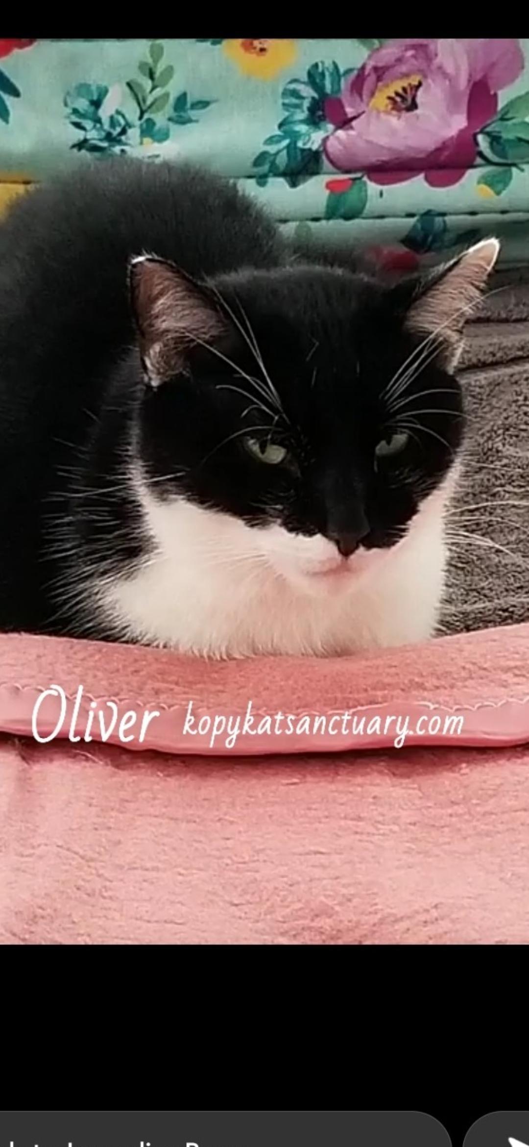 Oliver
