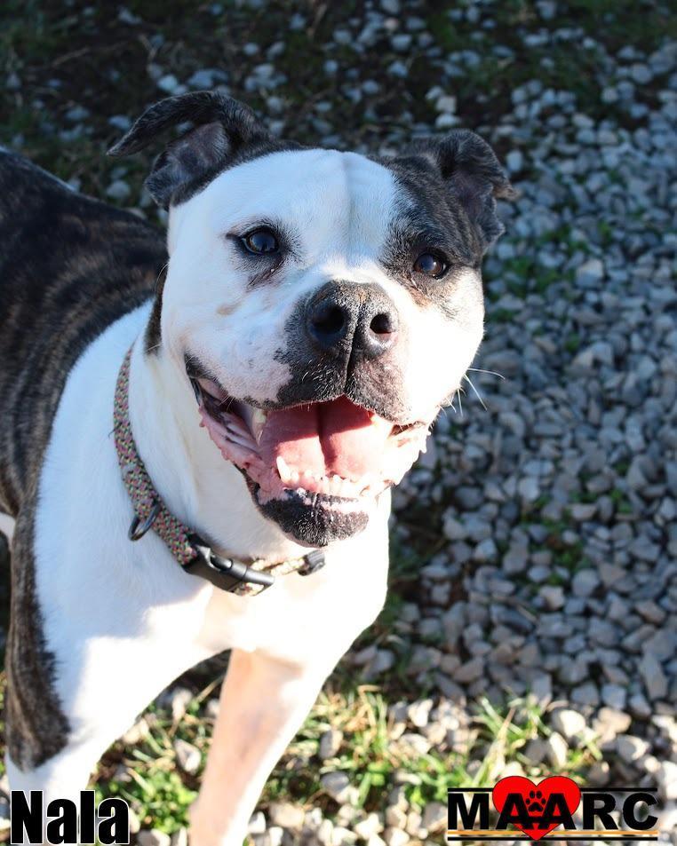 Nala