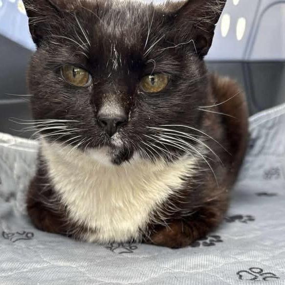 Pj Aka Puddle Jumper