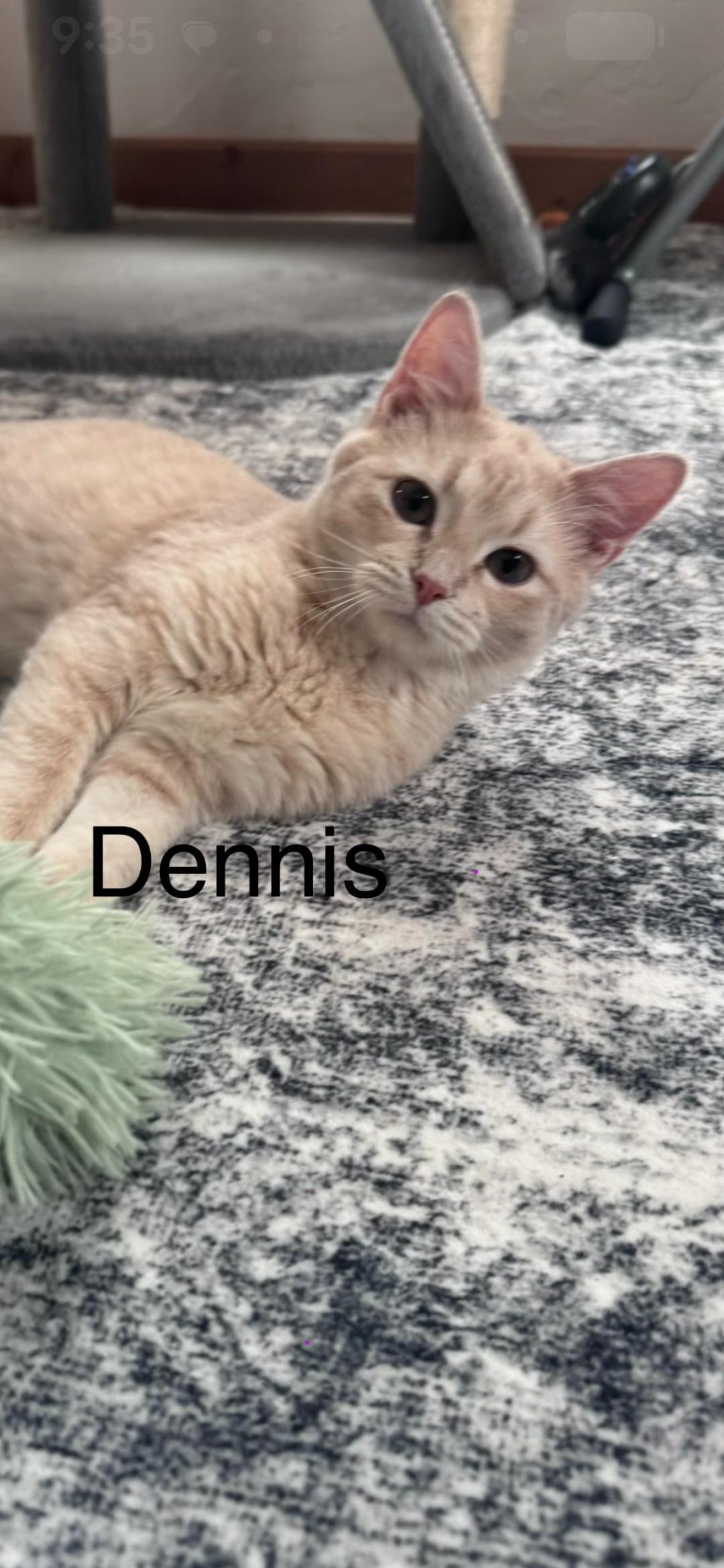 Dennis