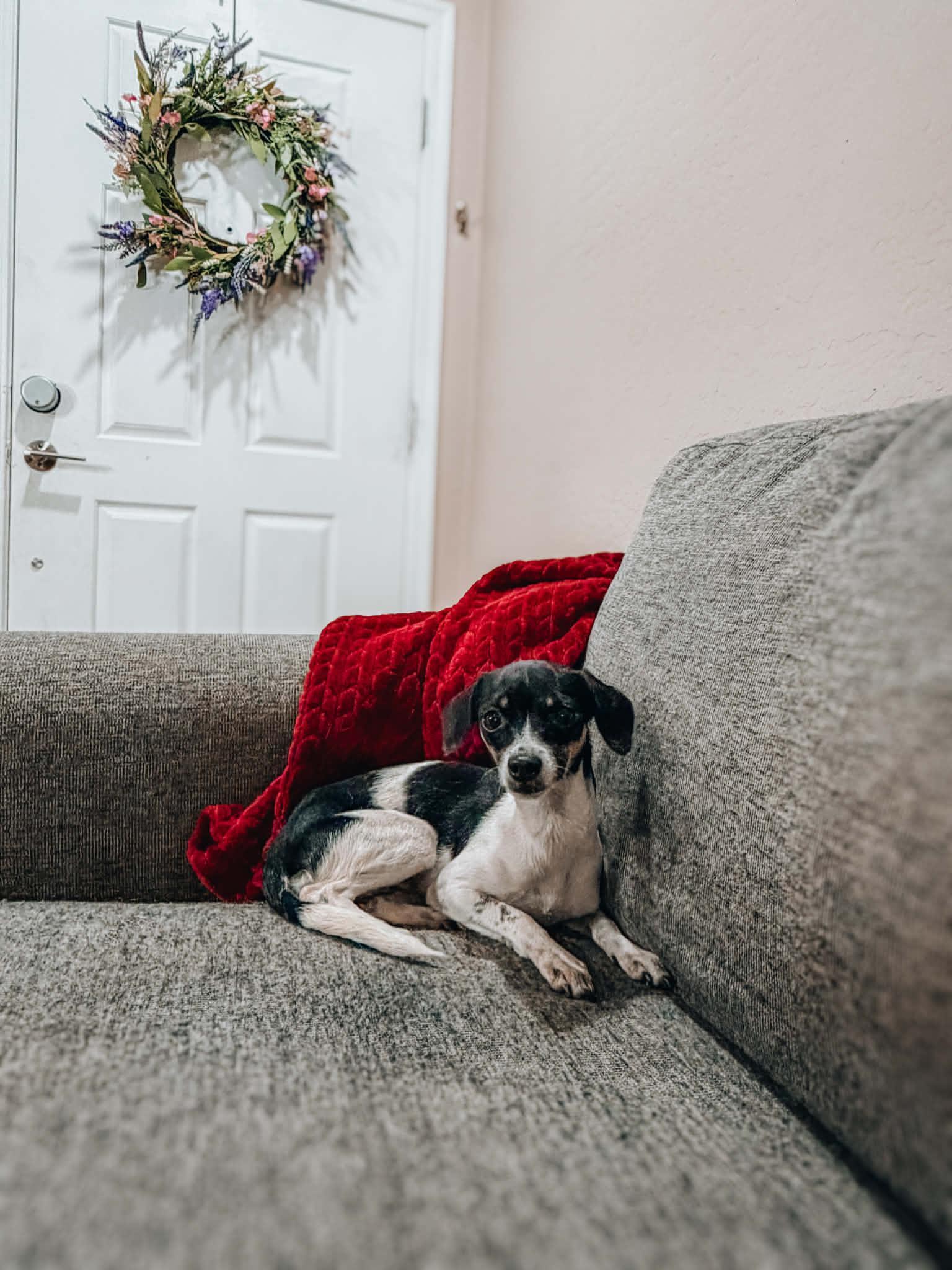 Kate Petite Loving Girl!