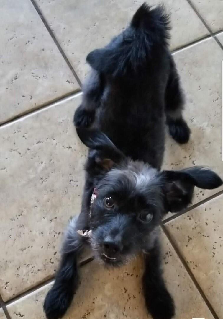 Cooper Aka Super Coop