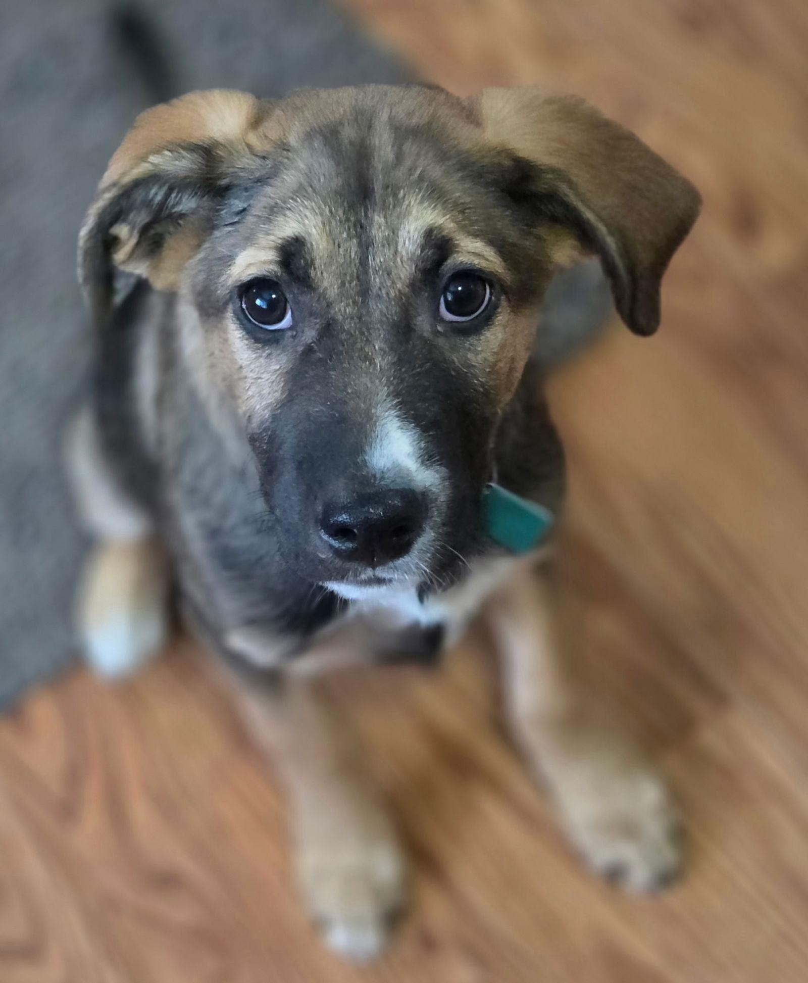 George Sweetest Boy On