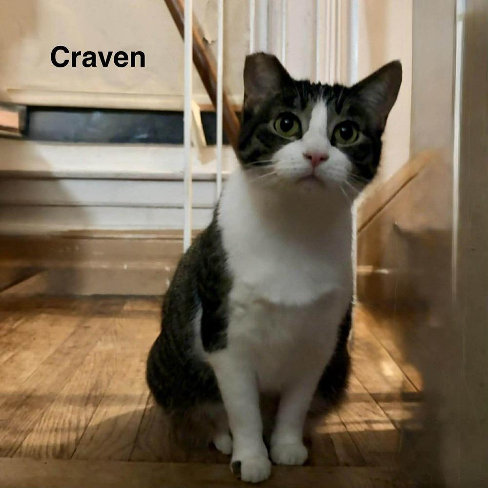Craven