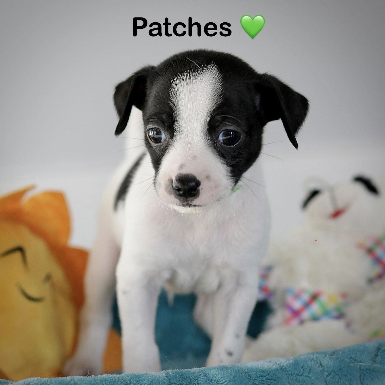 Patches