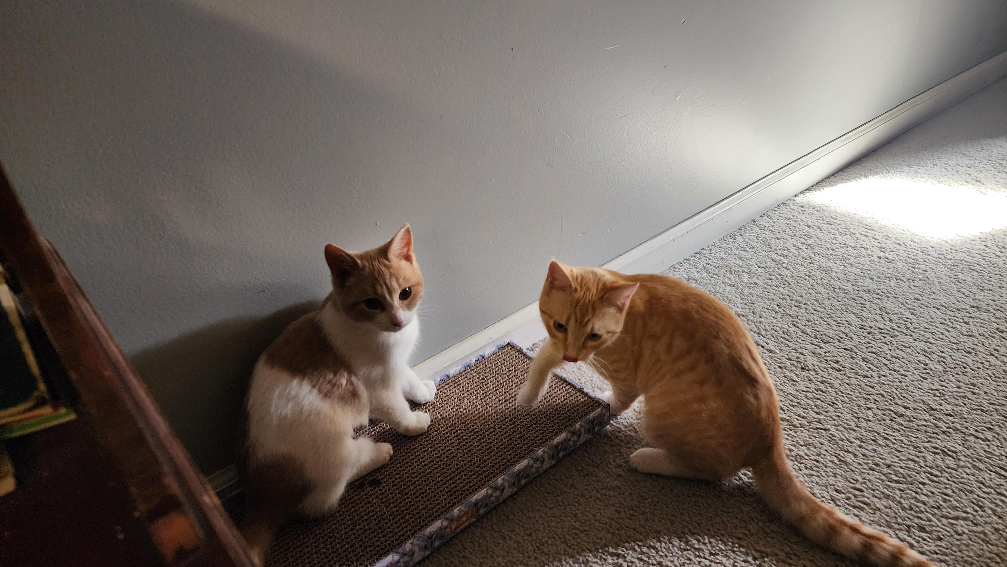 Elphaba & Glinda photo 1