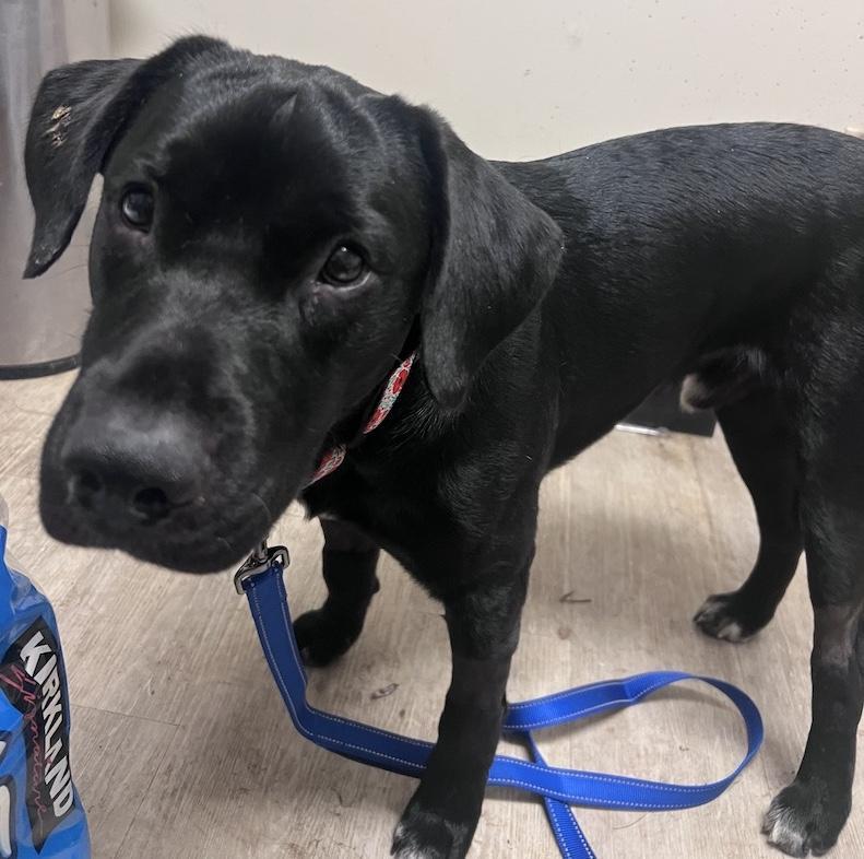 Otisnot Accepting Applications Yet!