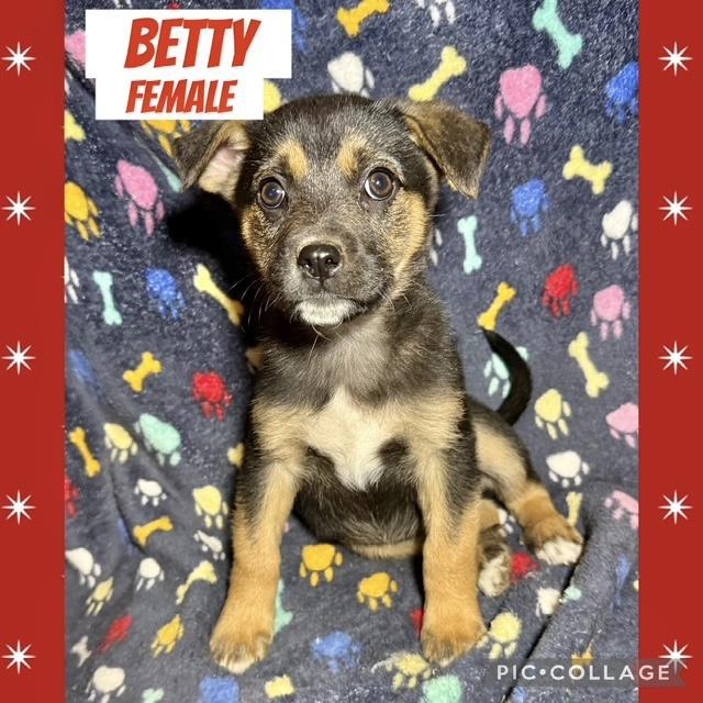 Betty