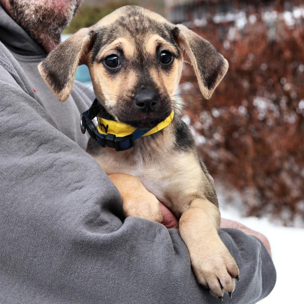 Ct Trinity Avail Feb